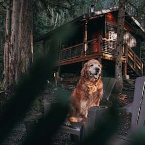 Crystal Creek Cabin