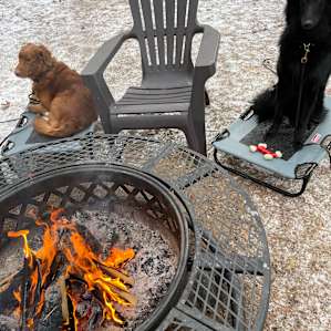 Fire pit with fully stocked wood and chairs easily accessible
