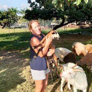 Goats and Ducks