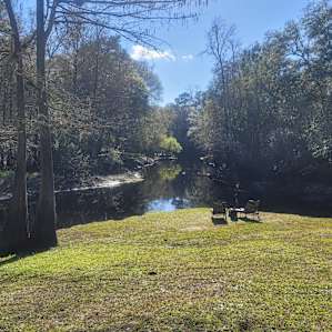 River by the Treehouse