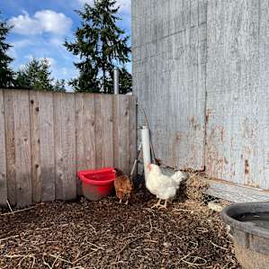 Glamping at the RMR Farmstead