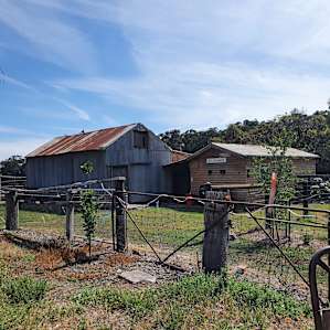 Nillawarre Crockett's Creek Cnr