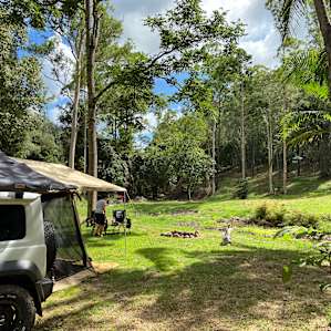 TripleJayDee Red Cedar camp area
