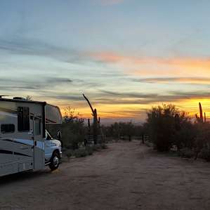 Wild Burro Desert Retreat