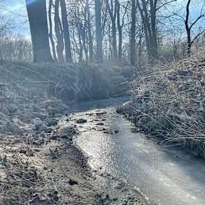 Little creek on the hike