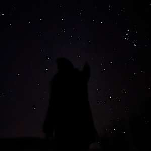 We have never see the stars this bright!