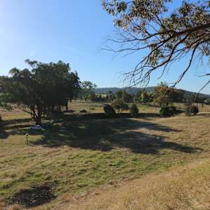 Nillawarre Creek camp 1- unpowered