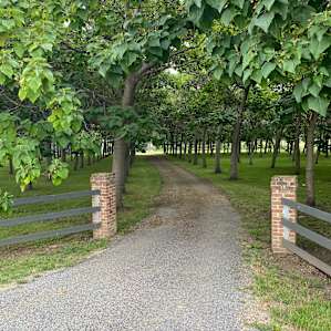 Roma Orchard Campground