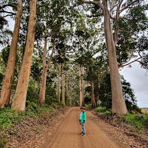 Local walk