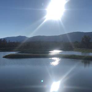 Sunset on the pond.