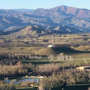 Eucalyptus Forest & Mountain Views