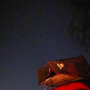 Vineyard by day, Stars at night!