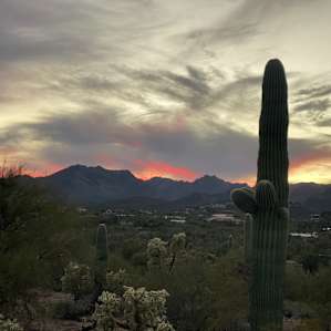 Sonoran Desert Retreat