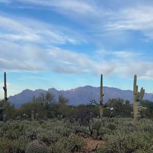 Sonoran Desert Retreat