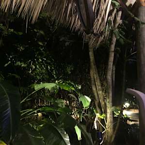 Casa de Rio’s