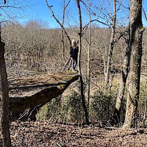 Riverside Hideaway NWA 60acres