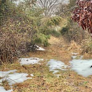 Labyrinth, Trails, and Solitude