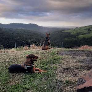 Maleny - Little Bunya, Riverdell