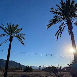 Farm and all the citrus trees were lovely