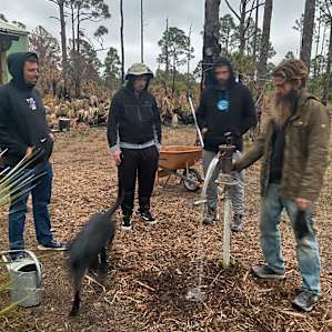 New Nassau Food Forest
