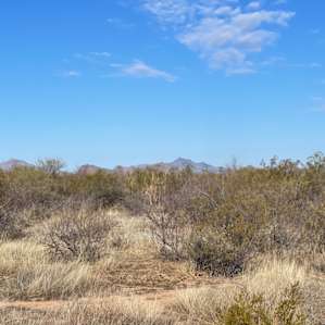 Desert Location