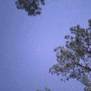The Naked Stargazer