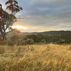 Sunset on the hill near the lodge.