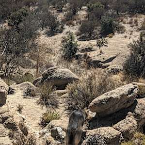 Hiking canyon/creek area