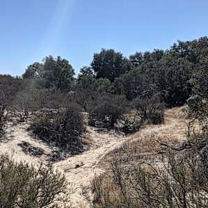 Old Rocky Knoll Ranch 100+ Acres