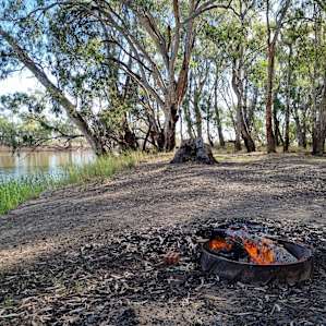Murray River 'Pig Bend'