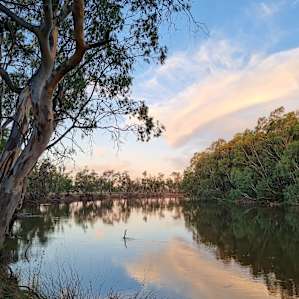Murray River 'Pig Bend'