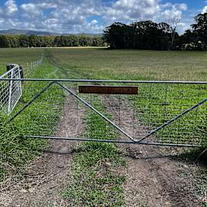 Entry gate