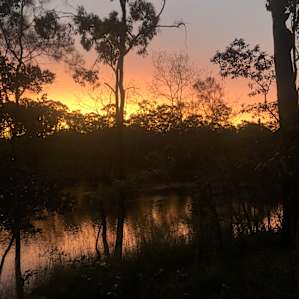 Charlie Darwins Nature Park