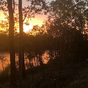 Charlie Darwins Nature Park