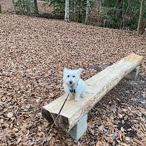 Watching me fishing