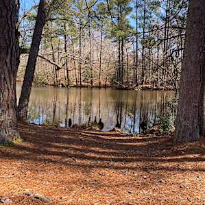 Love the lake and wildlife