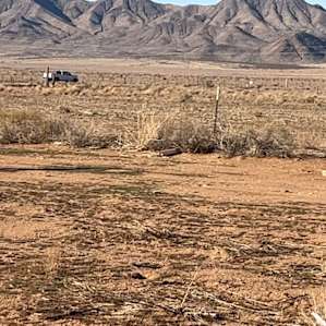 Kingman Wine Country Camping