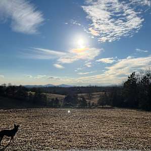 Family Glamping in Skoolie w/Views