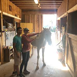 Countryside horse farm