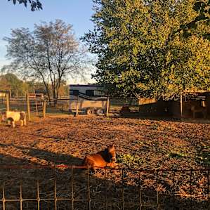 Countryside horse farm
