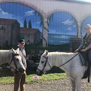 Countryside horse farm