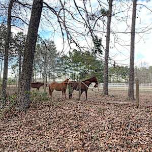 Legacy Farms Leisure Area
