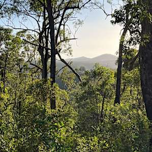 Views on our bush walk