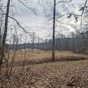 Secluded view