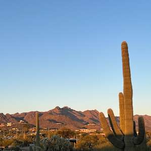 Sonoran Desert Retreat