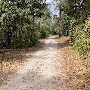 Westminster Woods Site 2 (RV/Tent)
