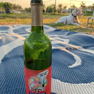Vineyard and Palm studded RV sites