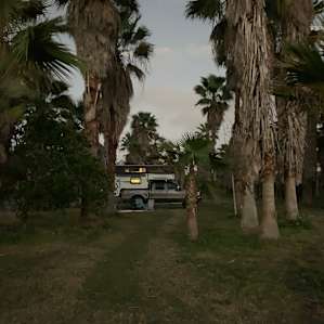 Vineyard and Palm studded RV sites