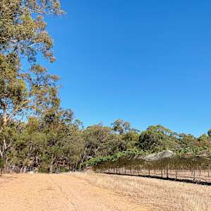 Miners Ridge Vineyard Glamping Pod