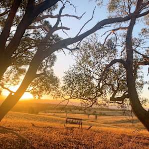 Miners Ridge Vineyard Glamping Pod